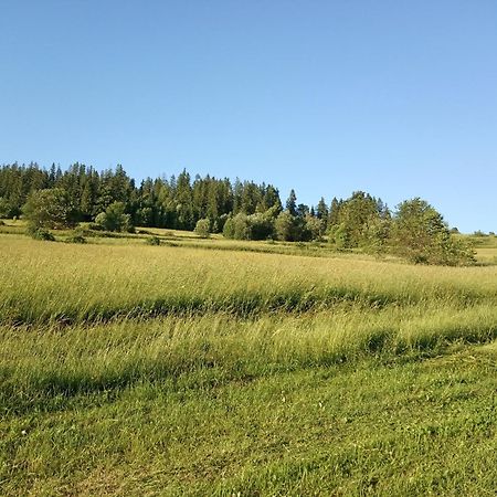 Villa Cicho Sza Czarna Góra Εξωτερικό φωτογραφία